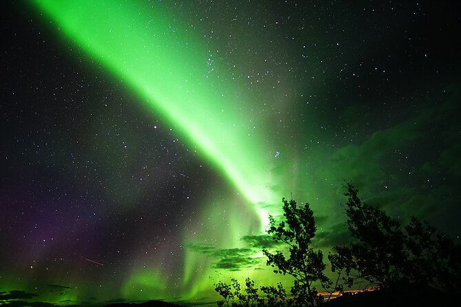 Arctic Day: Aurora Viewing Tour | Late Night - Accessibility and Transportation