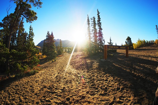 Arctic Day: Carcross & Southern Lakes Hiking Tour | Full Day - Tour Inclusions