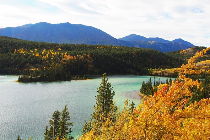 Arctic Day: Carcross & Southern Lakes Hiking Tour | Full Day - Group Size Limit