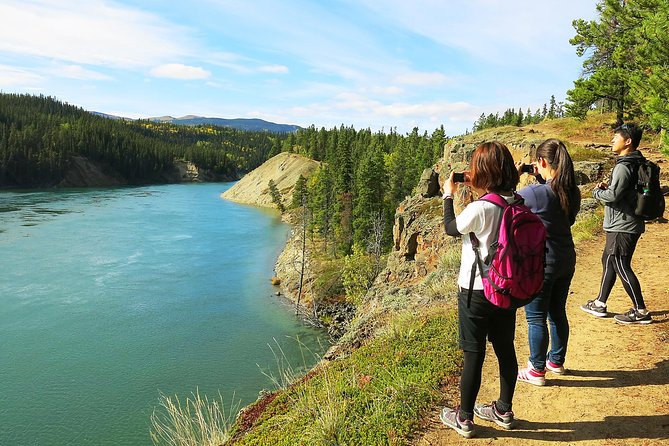 Arctic Day: Hiking Tour | Half Day - Guided Mountain Trail Hike