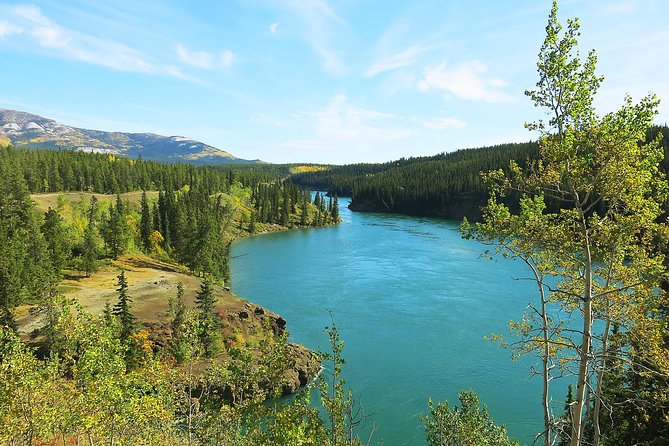 Arctic Day: Hiking Tour | Half Day - Additional Tour Details