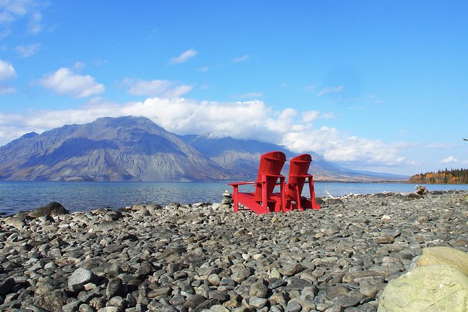 Arctic Day: Kluane National Park Tour | Full Day - Transportation and Amenities