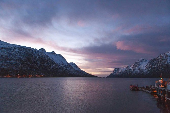 Arctic Fjord Sightseeing by Minibus - Visiting Kvaløya