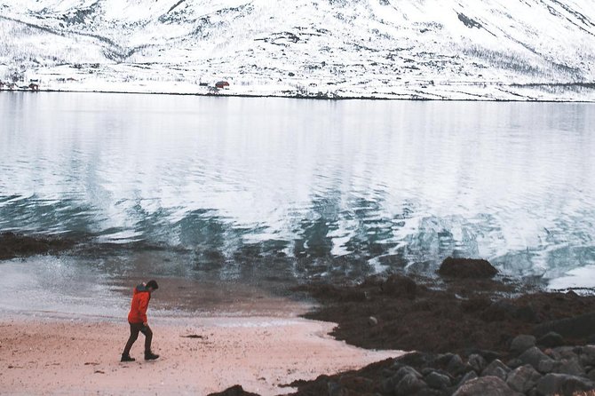 Arctic Fjord Sightseeing by Minibus - Exploring Sommarøy
