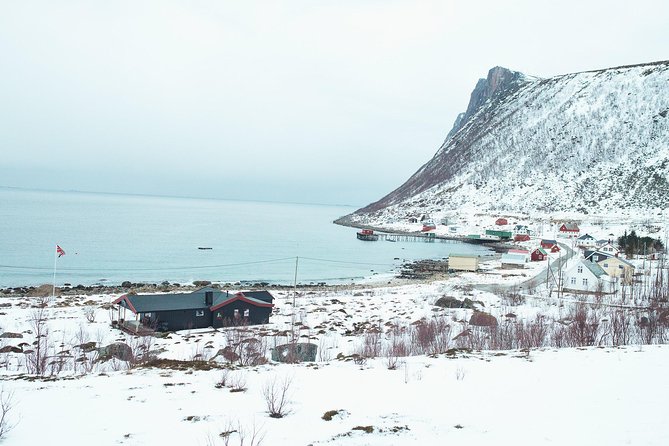 Arctic Fjord Sightseeing by Minibus - Lunch and Refreshments