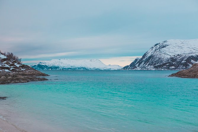 Arctic Fjord Sightseeing by Minibus - Transportation and Gear