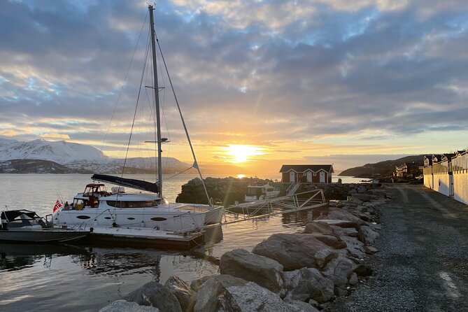 Arctic Fjordcruise & Safari in Tromso With Luxury Catamaran - Key Details of the Cruise