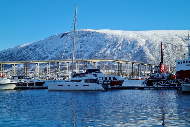 Arctic Fjordcruise & Safari in Tromso With Luxury Catamaran - Onboard Amenities and Comfort