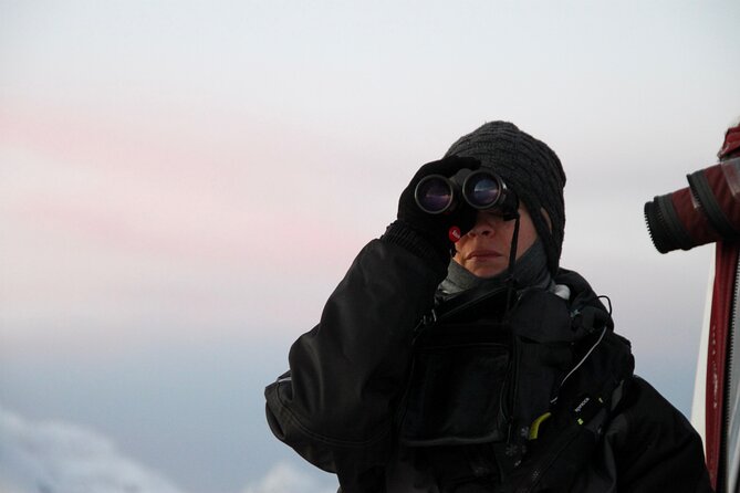Arctic Fjordcruise & Safari in Tromso With Luxury Catamaran - Personalized Attention From the Guide
