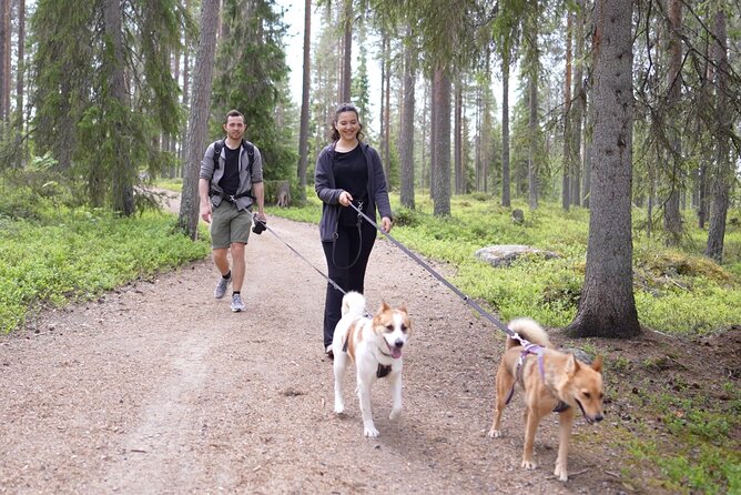 Arctic Hiking With Lappish Dogs - Gearing Up for the Hike