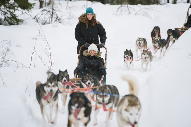 Arctic Huskies & Reindeers, Ice Fishing in Wildness - Immersive Ice Fishing Experience