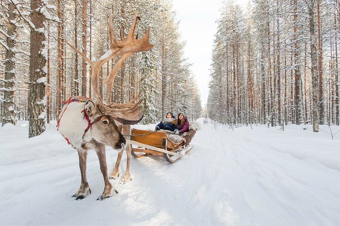 Arctic Huskies & Reindeers, Ice Fishing in Wildness - Savoring the Lappish Culinary Delights