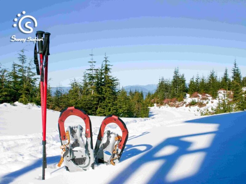 Arctic Ice Fishing by Snowshoe - Included Services