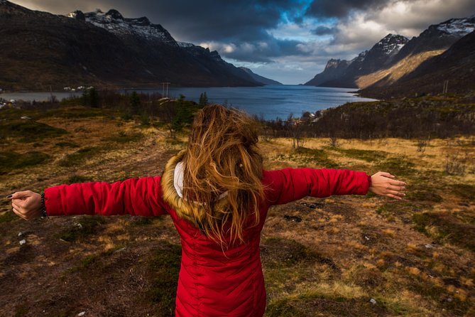 Arctic Nature Tour From Tromsø by Minibus - Tour Itinerary