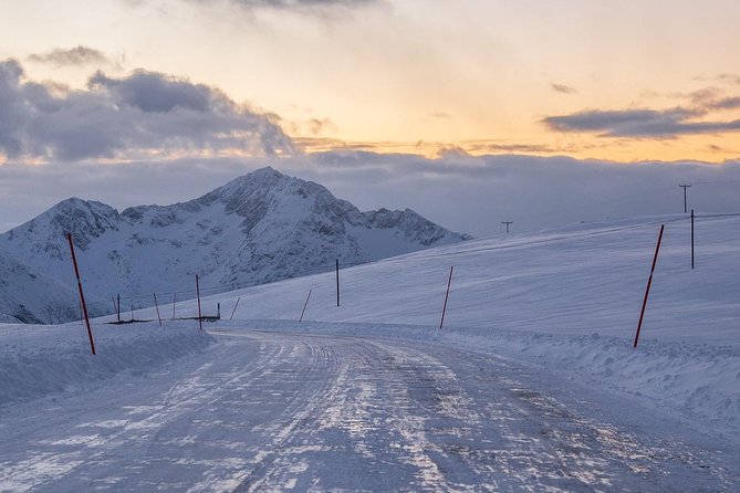 Arctic Nature Tour From Tromsø by Minibus - Cancellation Policy