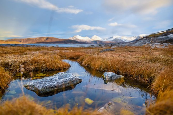 Arctic Nature Tour From Tromsø by Minibus - Customer Reviews