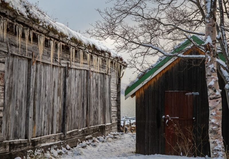 Arctic Nature Tour From Tromsø - Key Points