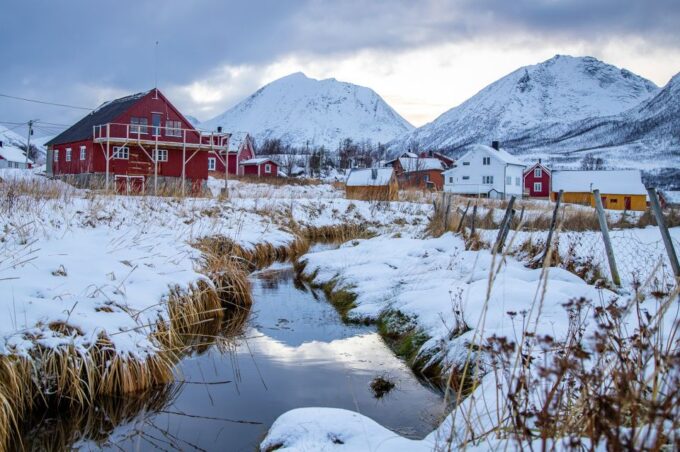 Arctic Nature Tour From Tromsø - Guide Expertise