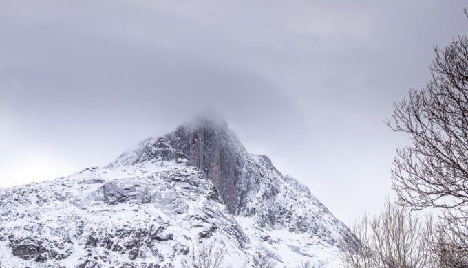 Arctic Nature Tour From Tromsø - Transportation Quality