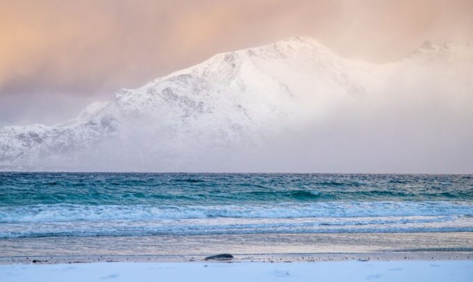 Arctic Nature Tour From Tromsø - Service and Organization