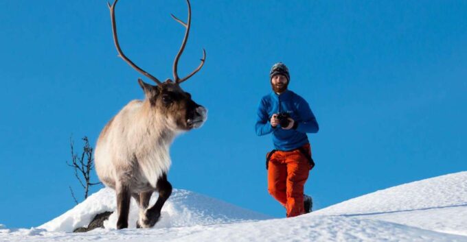 Arctic Nature Tour From Tromsø - Recap