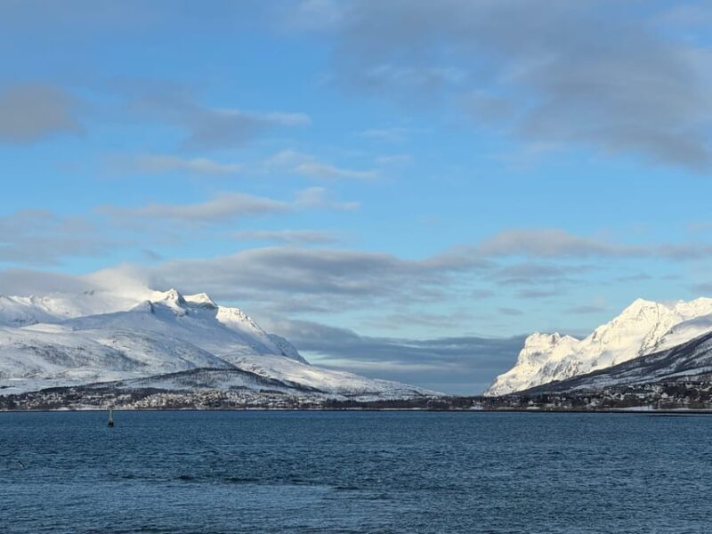 Arctic Nature Tour in Kvaløya With Hot Food and Drinks - Tour Overview