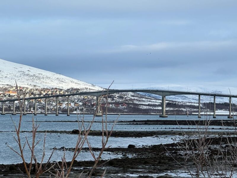 Arctic Nature Tour in Kvaløya With Hot Food and Drinks - Tour Details