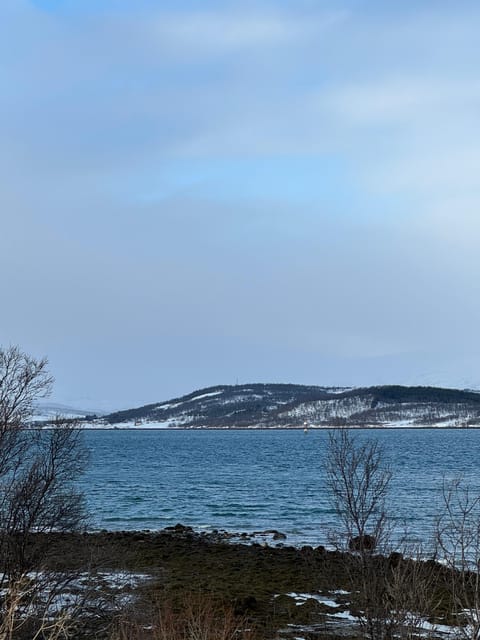 Arctic Nature Tour in Kvaløya With Hot Food and Drinks - Customer Reviews