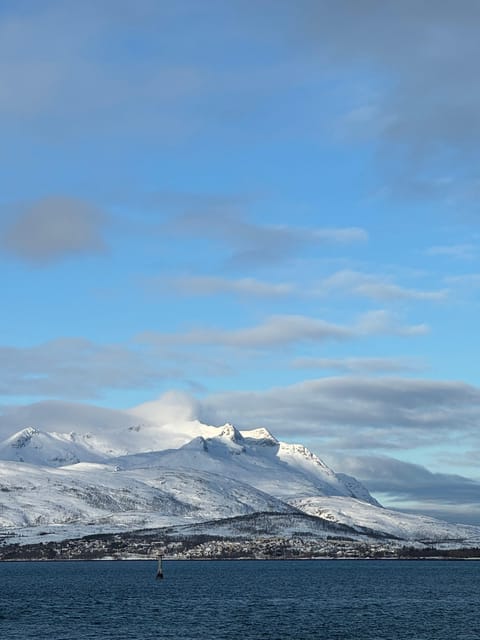 Arctic Nature Tour in Kvaløya With Hot Food and Drinks - Booking and Cancellation