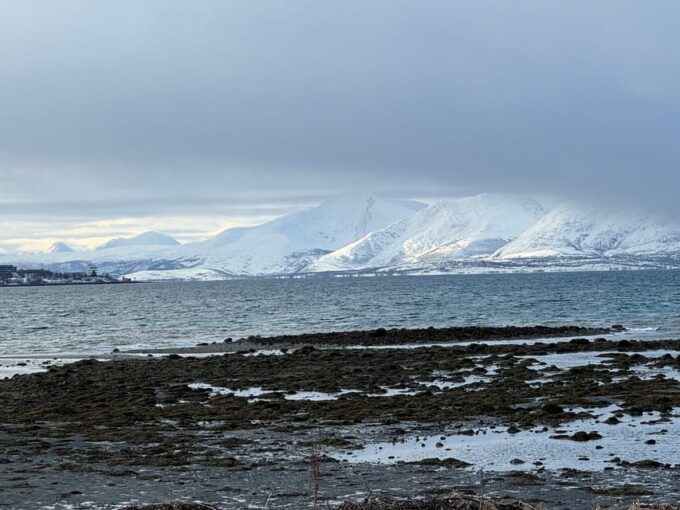 Arctic Nature Tour in Kvaløya With Hot Food and Drinks - Frequently Asked Questions