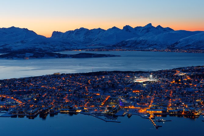 Arctic Panorama Cable Car Excursion - Traveler Reviews and Feedback