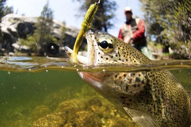 Arctic River Fishing Tour - Key Points