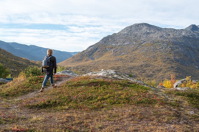 Arctic Roadtrip: Fjords With Scenic Picnic | Small Group 4x4 Van - Meeting and Pickup