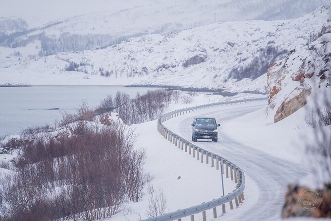 Arctic Roadtrip: Fjords With Scenic Picnic | Small Group 4x4 Van - Participant Information