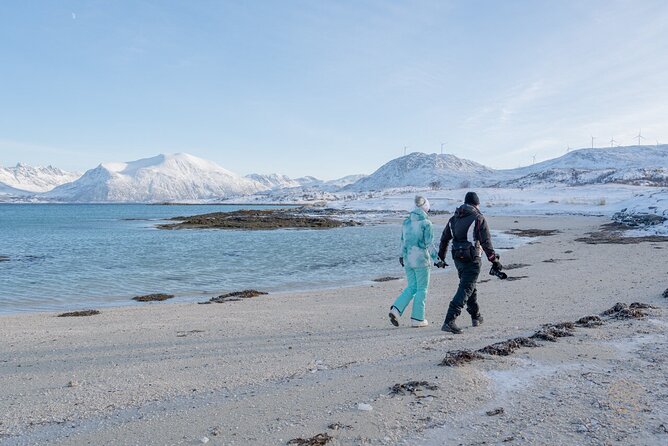 Arctic Roadtrip: Fjords With Scenic Picnic | Small Group 4x4 Van - Review Highlights
