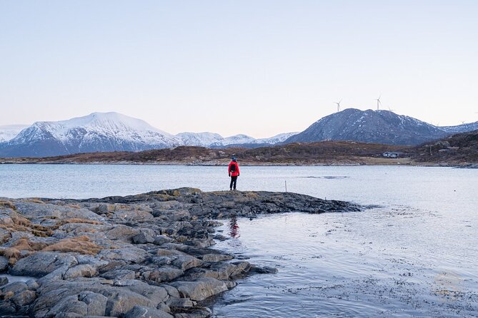 Arctic Roadtrip: Fjords With Scenic Picnic | Small Group 4x4 Van - Accessibility