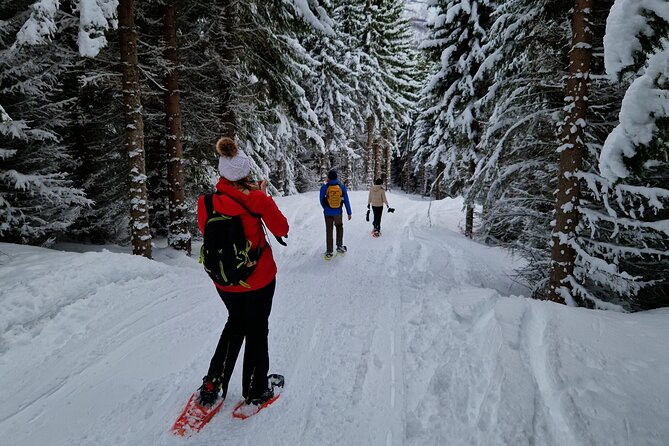 Arctic Snowshoe Hike in Norway - Unforgettable Experiences