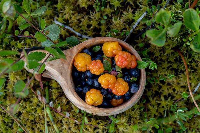 Arctic Wilderness Hike With Fire-Making - Hiking Difficulty Options