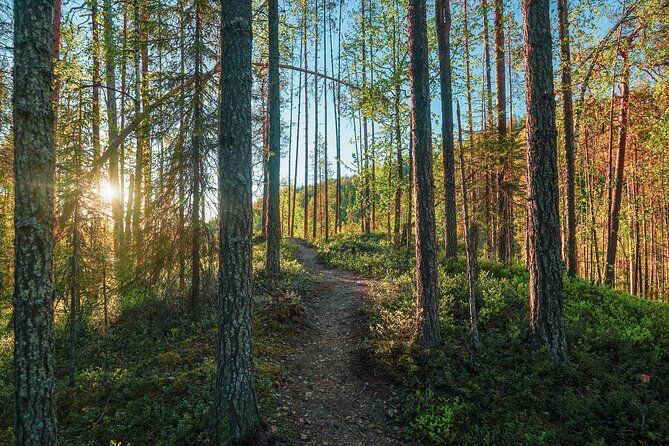 Arctic Wilderness Hike With Fire-Making - Traveler Recommendations