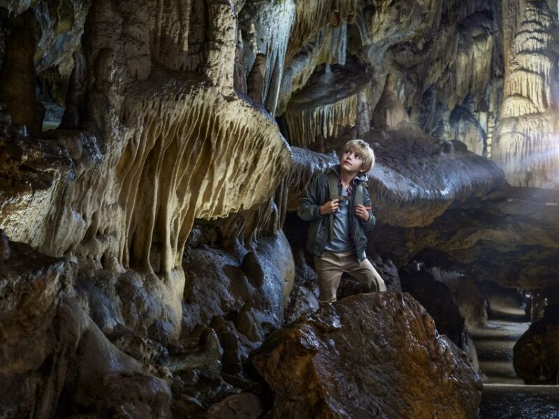 Ardennes: Caves of Han & Wildlife Park Bundle Entry Ticket - Attractions in the Package
