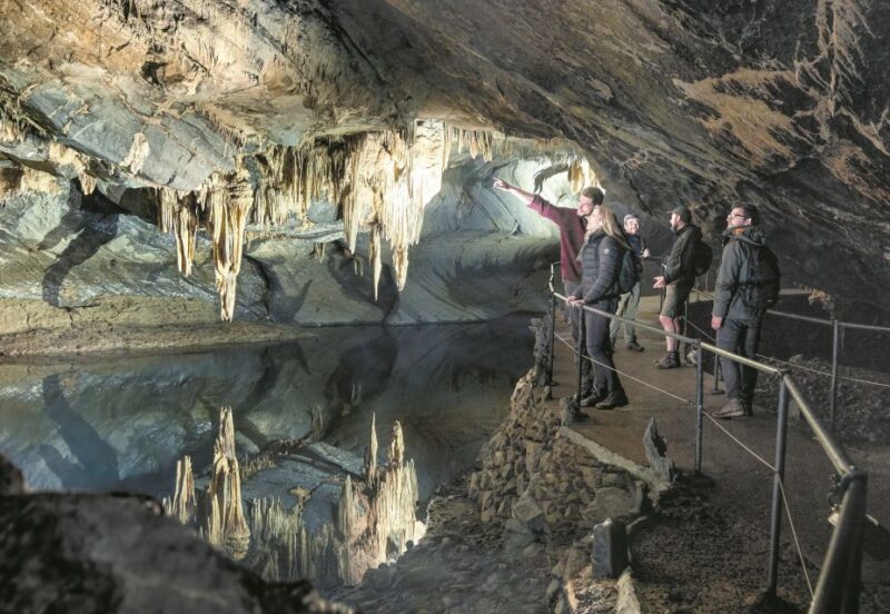 Ardennes: Caves of Han & Wildlife Park Bundle Entry Ticket - Exploring the Caves of Han