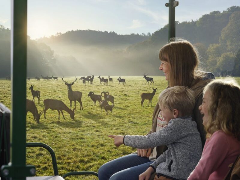 Ardennes: Caves of Han & Wildlife Park Bundle Entry Ticket - Wildlife Park Experience