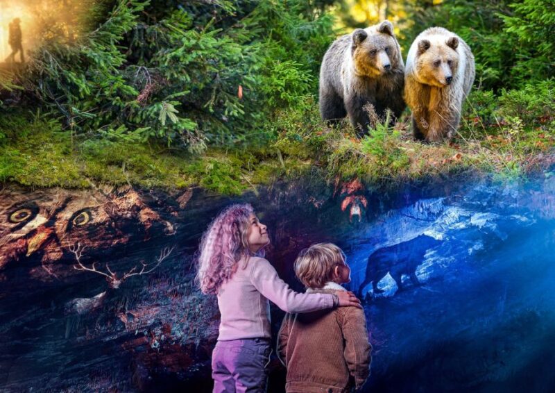 Ardennes: Caves of Han & Wildlife Park Bundle Entry Ticket - Visitor Information