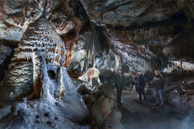 Ardennes: Caves of Han & Wildlife Park Bundle Entry Ticket - Accessibility and Recommendations