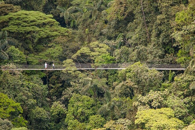 Arenal Best 4 Attractions (Full Day - Combo) Incl. Lunch & Dinner - La Fortuna Waterfall Visit