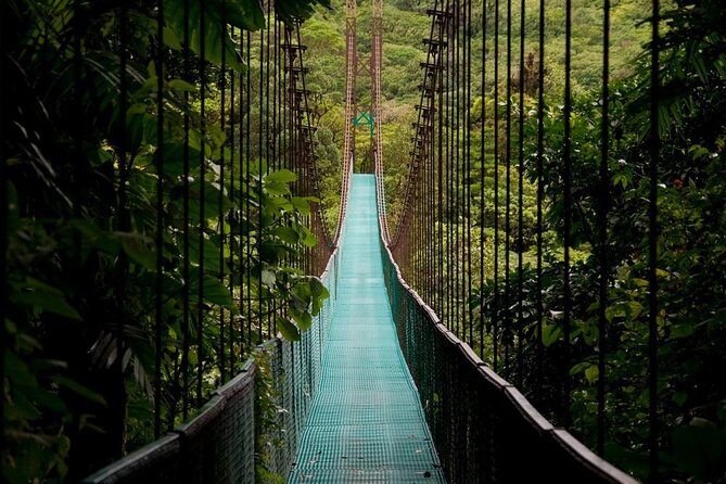 Arenal Combo Tour: Hanging Bridges+ Waterfall +Volcano Hike + Hot Springs - Key Points