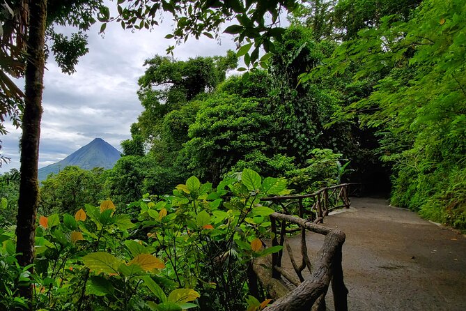 Arenal Full Day Tour - Health and Safety Information