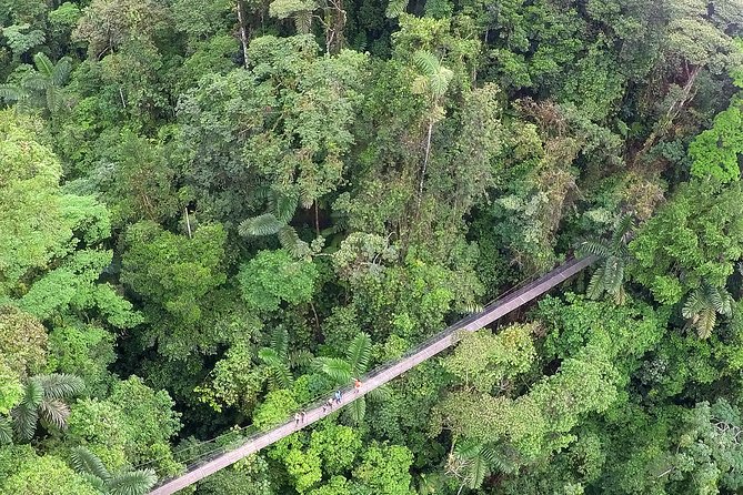 ARENAL FUSION ADVENTURE (1): Volcano,Waterfall & Hanging Bridges - Traversing Hanging Bridges