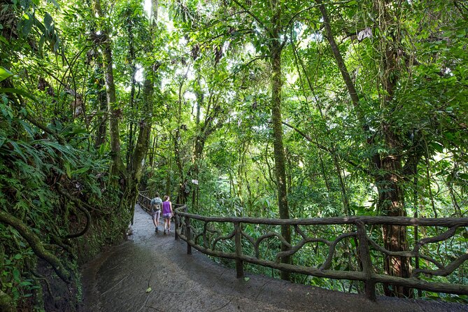 Arenal Hanging Bridges, Guided Walk, Hot Springs Optional - Tour Overview and Details