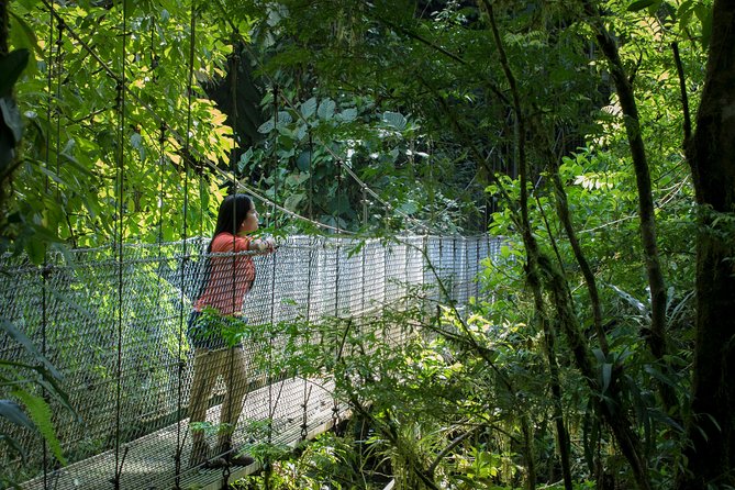 Arenal Hanging Bridges Hiking Tour - Overview